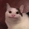 Hii 💗 - @beverly.dan.and.riya - TikTok