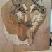 Dan Bickel - Facebook
