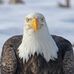 Dan Bickel Photography - Facebook