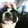 Bryndan Blanton - @bryndan.blanton - TikTok