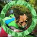 Daniel Brassington - Facebook