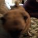 Dan Blewitt - Facebook