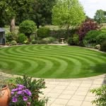 Dan Blodgett - @dc_lawn_services - Instagram