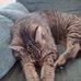 Dan Blodgett - Facebook