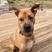 Dan Blom - Facebook