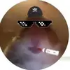 Dan Blomberg386 - @danblomberg - TikTok