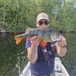 Daniel Blomman Blomgren - @db_fishing86 - Instagram