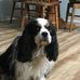 Dan Blomquist - Facebook