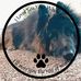 Dan Blomquist - Facebook