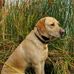 Dan Blomquist - Facebook