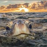 Daniel Blouin - @danielblouin - Instagram