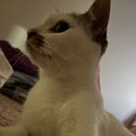 Dan Blue - @danmiffin - Instagram