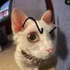 Dan blue - @dan.blue3 - TikTok