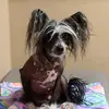 Dana - @danablume - TikTok