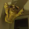 danblume93 - @danblume93 - TikTok