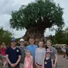 danboumel - @danboumel - TikTok