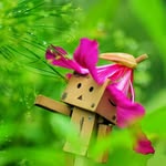 A   J - @danbo__boo - Instagram