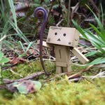 danbo_book_of_adventures - @danbo_book_of_adventures - Instagram