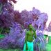 Daniel Bobo - Facebook