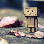 @danbo.da - Instagram