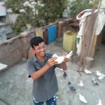 Boda Pandu - @_______danger_______kaththi___ - Instagram