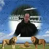 danbodean - @danbodean - TikTok