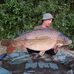 Daniel Boden - Facebook