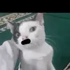 ABDUL AL AYYUBI - @manusiajelekdanbodoh - TikTok