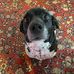 Daniel Bohan - Facebook