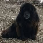 Daniel Boissonneault - @daniel.boissonneault.524 - Instagram