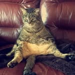 Danny Boissonneault - @dannyboissonneault - Instagram