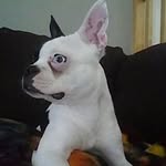 Dan Boisvert - @godstopme666 - Instagram