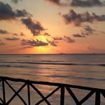 Dan Boisvert - @frog.243 - Instagram