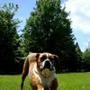 danboisvert816 - @danboisvert816 - TikTok