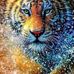 Dan Poline - Facebook