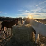 Dan Bollman - @dan.bollman.7 - Instagram