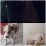 @dan_bon_die - Instagram