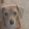 russell - @dannybooher - TikTok