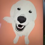 Dan Booker - @tingsdrawsthings - Instagram