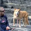 danbooker8 - @danbooker8 - TikTok