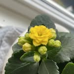 Dan Boorman - @dan_the_man3040 - Instagram