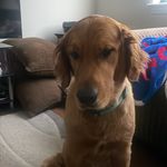 Dan Booth - @dannnbooth - Instagram