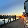 سرگردان🥴🥂 - @danbora5 - TikTok