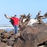 Dan B Borer - @danbborer - Instagram