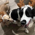 Daniel Borgen - @danborgen - Instagram