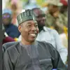 Mustapha Dan Borno - @mustaphadanborno - TikTok