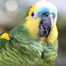 Danijel Borosa - @danboro - TikTok
