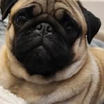 Daniel Cemborowski - @dancemborowski79 - Instagram
