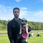 Dan Borrelli - @danborrelli - Instagram