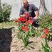 Dan Bos - Facebook